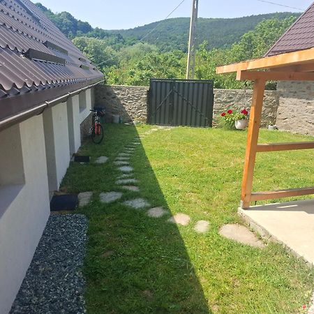 فيلا Casa Noua Sasca Montană المظهر الخارجي الصورة