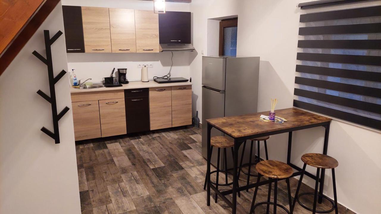 فيلا Casa Noua Sasca Montană المظهر الخارجي الصورة