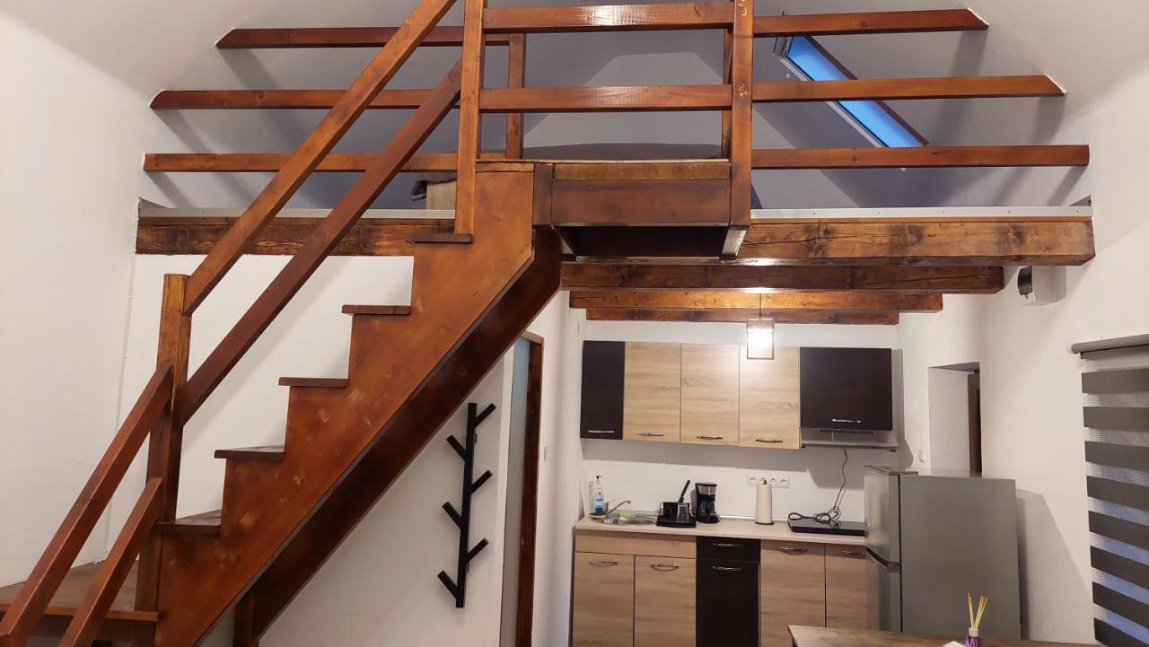 فيلا Casa Noua Sasca Montană المظهر الخارجي الصورة