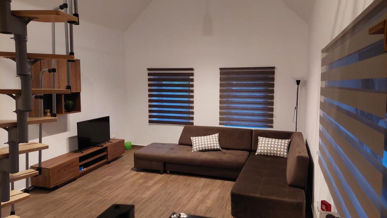 فيلا Casa Noua Sasca Montană المظهر الخارجي الصورة