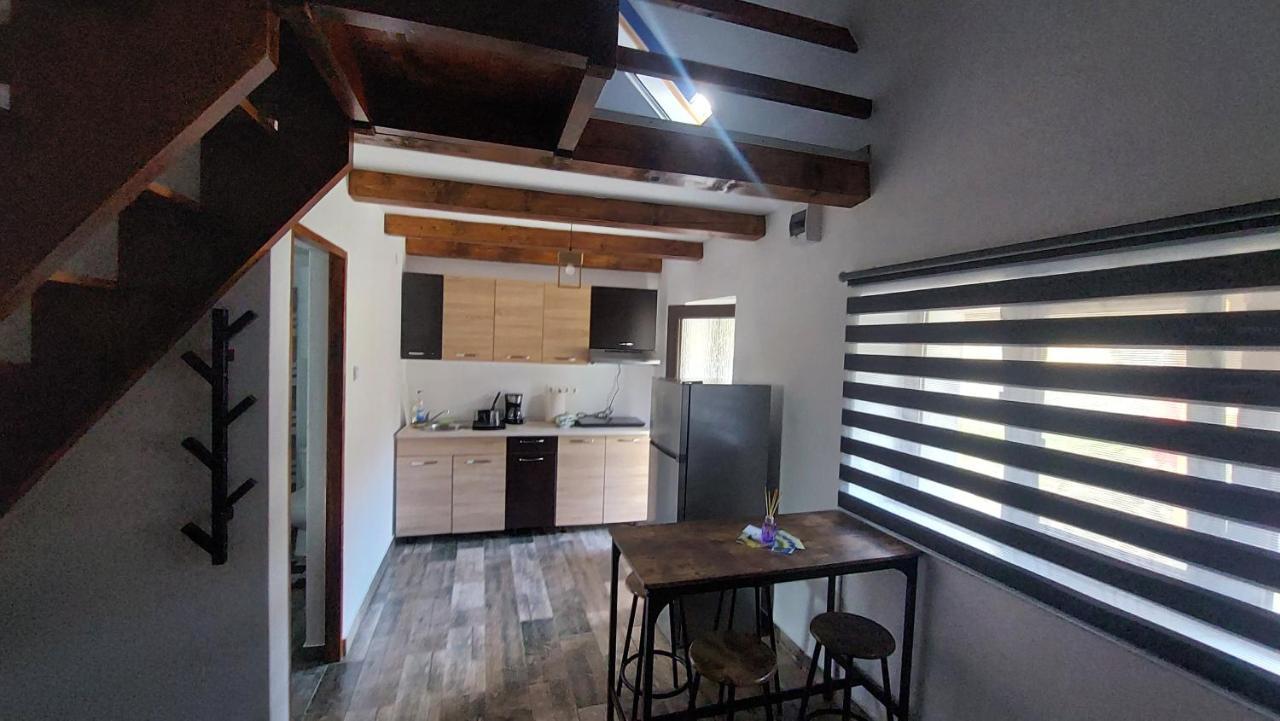 فيلا Casa Noua Sasca Montană المظهر الخارجي الصورة