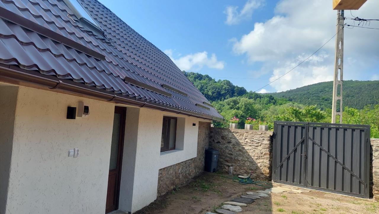فيلا Casa Noua Sasca Montană المظهر الخارجي الصورة