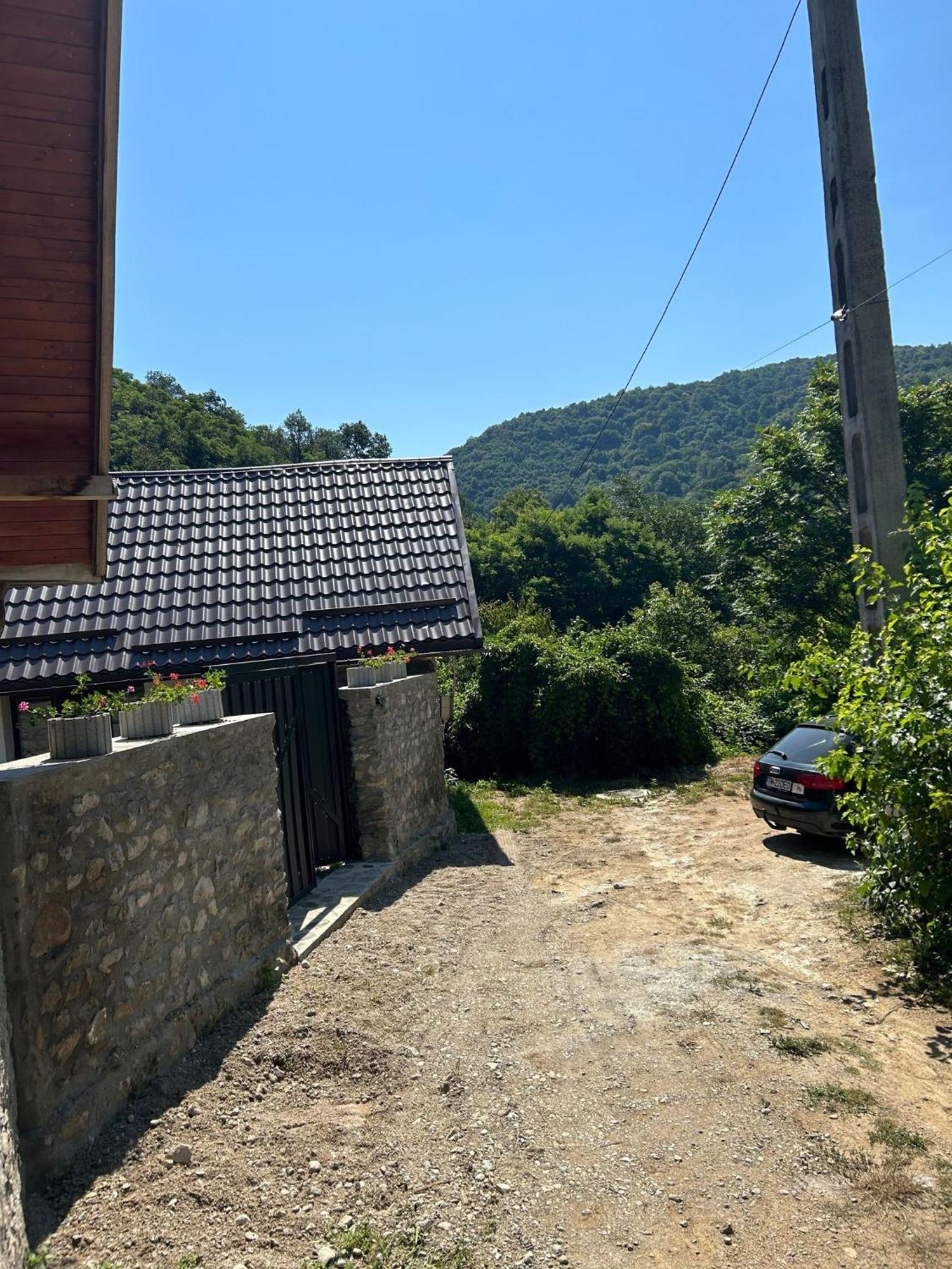 فيلا Casa Noua Sasca Montană المظهر الخارجي الصورة