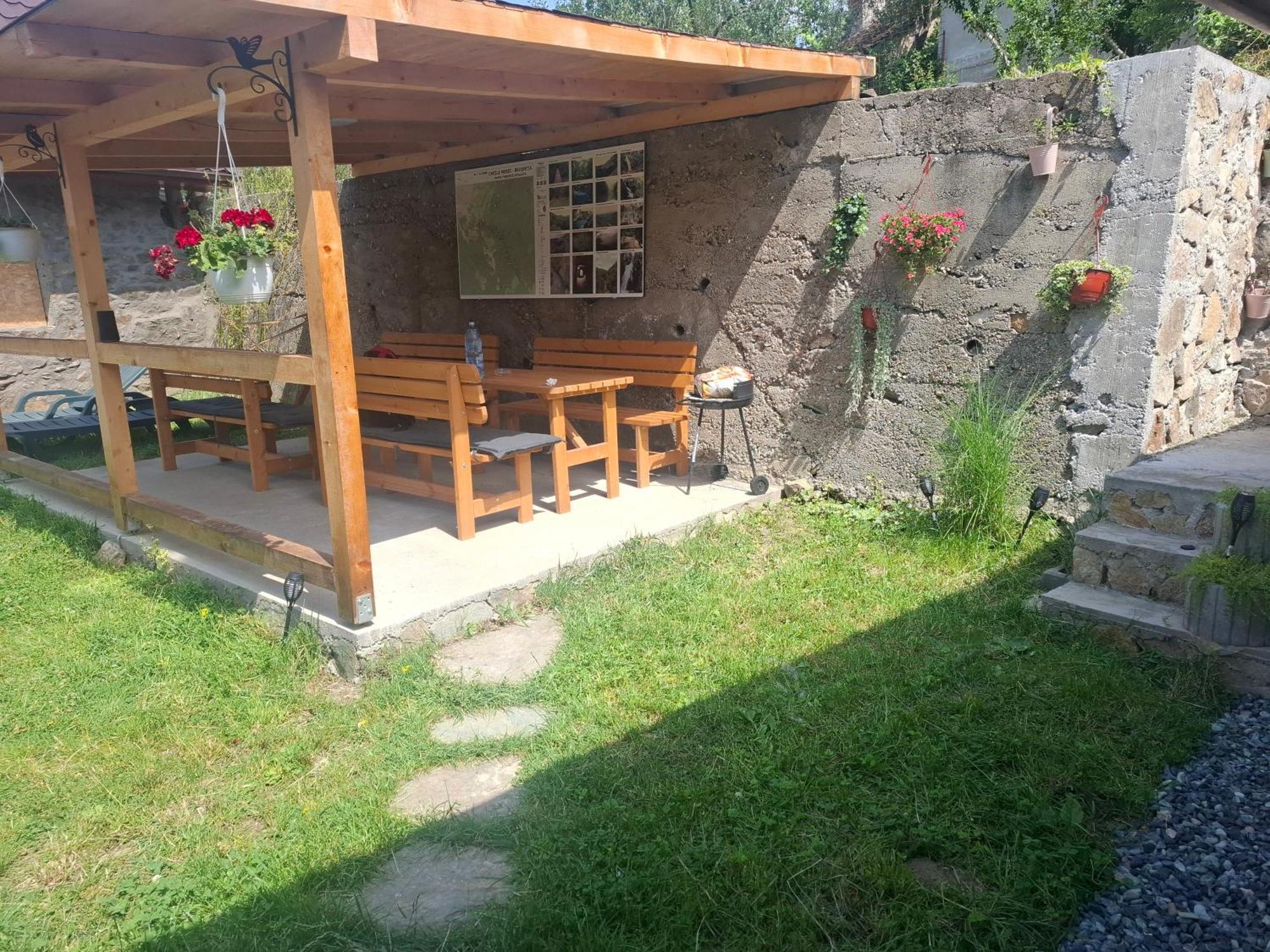 فيلا Casa Noua Sasca Montană المظهر الخارجي الصورة
